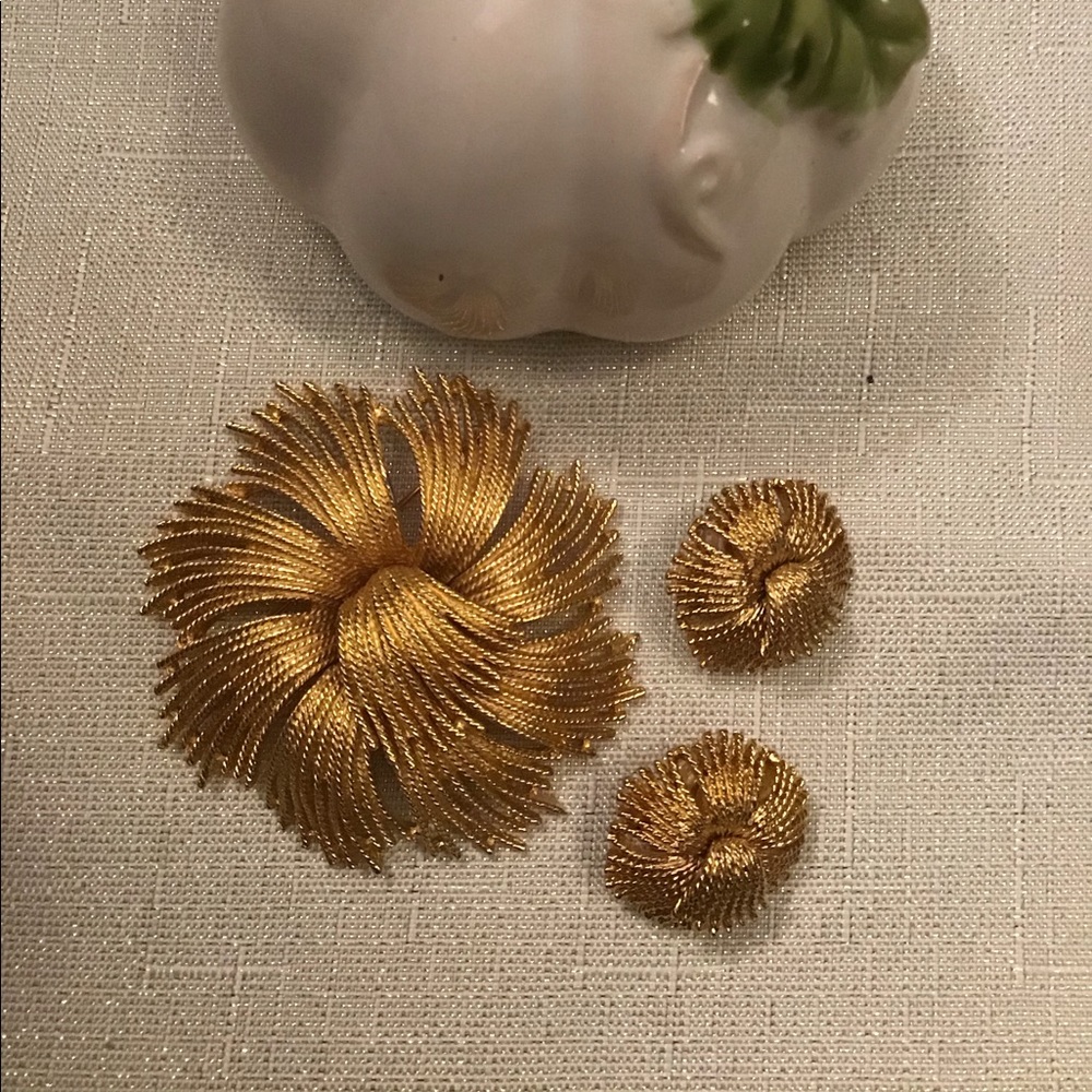 Pin & Earrings Set